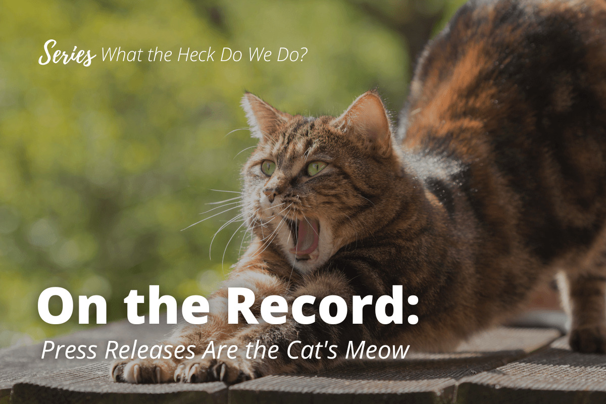 On the Record: Press Releases Are the Cat's Meow