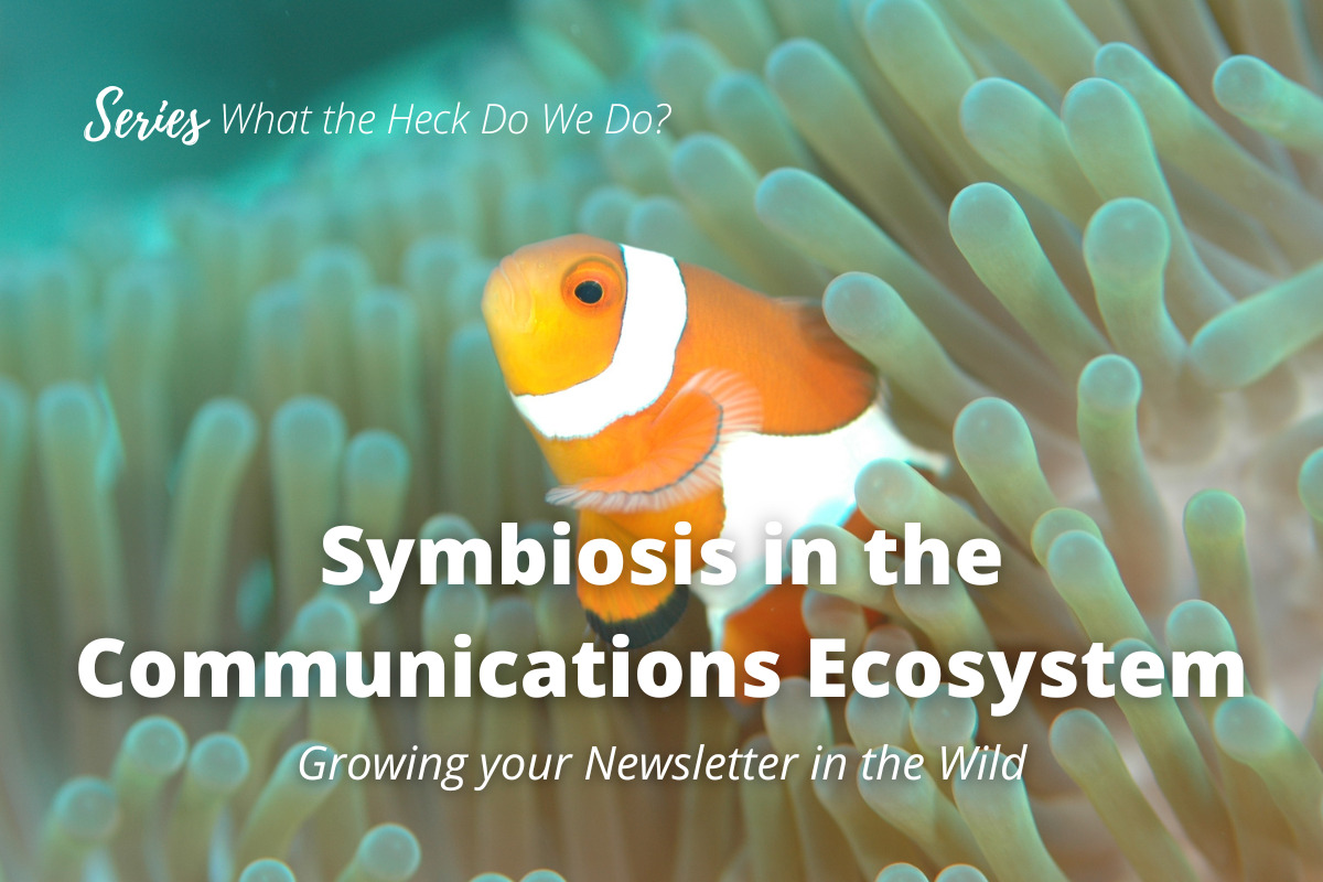 a photo of a clown fish poking its head out of a sea anenome, overlayed with the words "Symbiosis in the Communications Ecosystem" and "Series: What the Heck Do We Do?"