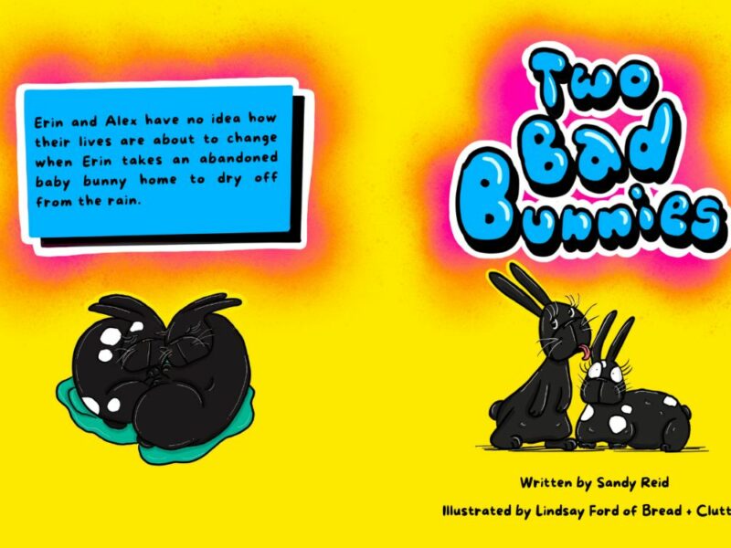 front and back cover of a book titled "Two Bad Bunnies"
