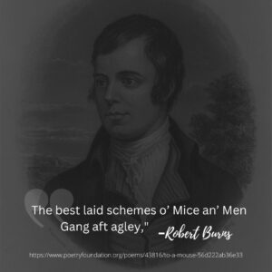 "The best laid schemes o' Mice an' Men Gang aft agley." - quote by Robert Burns