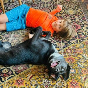 a boy and a dog lying on a carpet