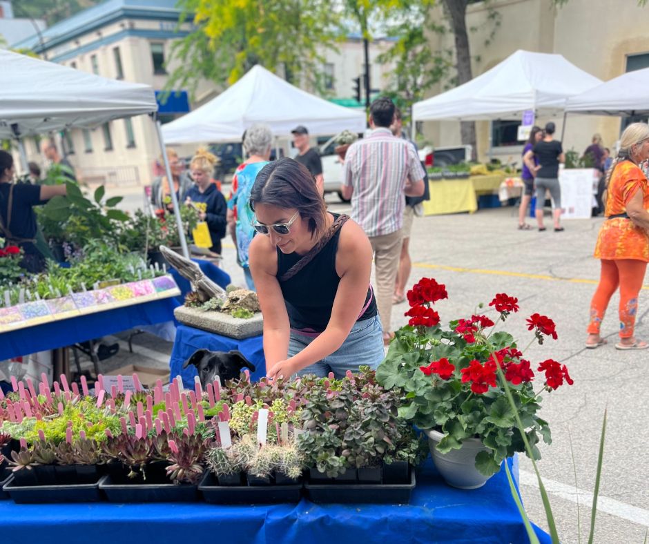 a woman perusing a table of plants at a market